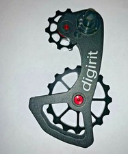 digirit campagnolo