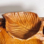 Bild 8 von 24