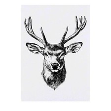 'Red Deer Stag' Temporary Tattoos / Transfers TO00077067 