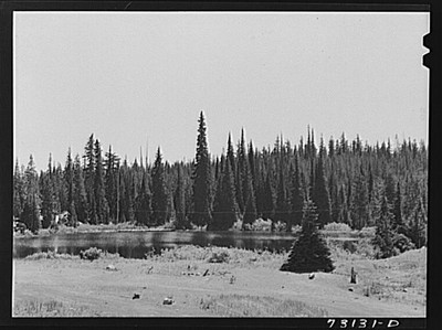 Photo:Deschutes National Forest, Oregon. Small mountain lake