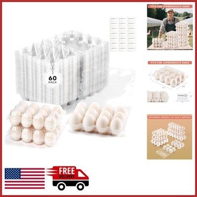 Sturdy 60 Pack Plastic Egg Cartons for Jumbo Eggs Home or Commercial Use