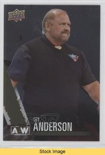 2021 Upper Deck AEW All Elite Wrestling Crew Rainbow Foil Arn Anderson READ m7v