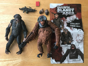 Caesar Neca | eBay