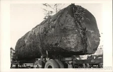 Seaside, Oregon Big Log Logging Original Vintage Real Photo Postcard RPPC
