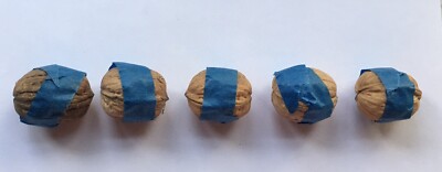 Walnut Shells 5 Hand Halved Matched California Chandler Art Project Miniatures