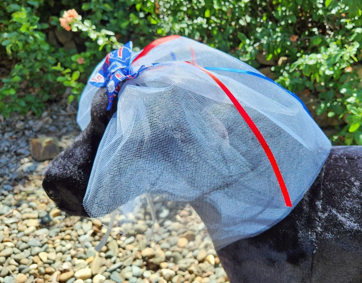 Buffalo bills dog clearance bandana