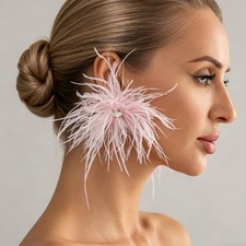 Fashion Exaggerated Multicolor Feather Earrings Women's Light Luxury Ins Style