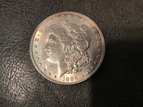 1899 P Morgan Silver Dollar. MS?  very vice coin with toning