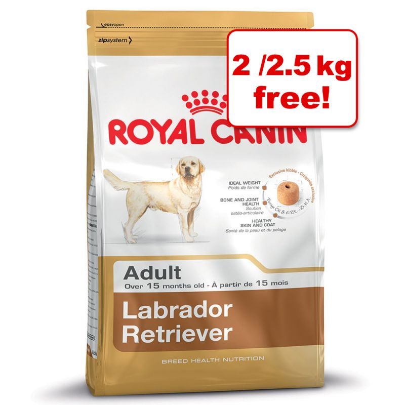 eukanuba labrador 12kg