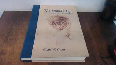 The Human Eye: Structure and Function