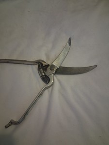 H Boker Co Mother Of Pearl Serrated Shears Scissors Germany