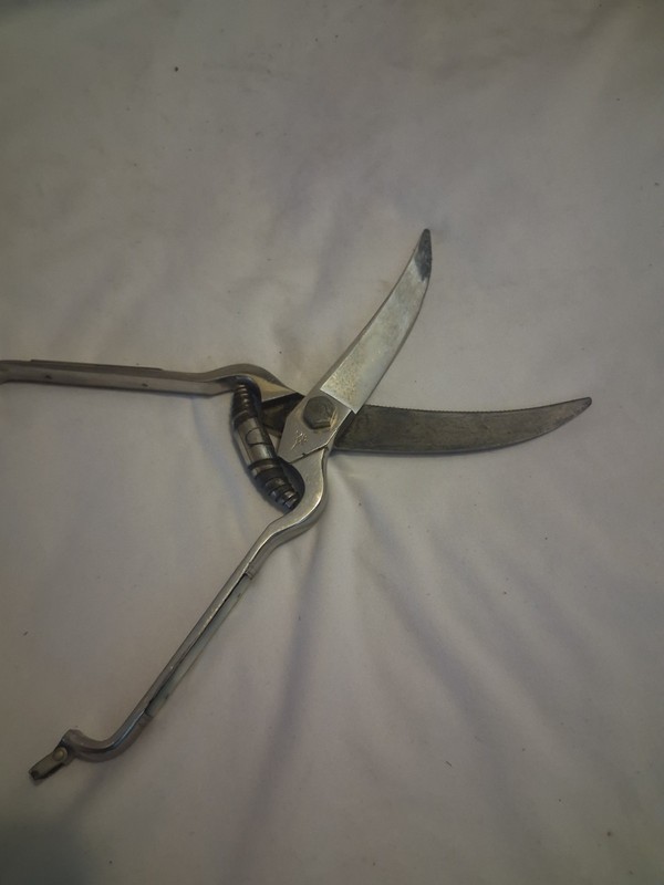 H Boker Co Mother Of Pearl Serrated Shears Scissors Germany