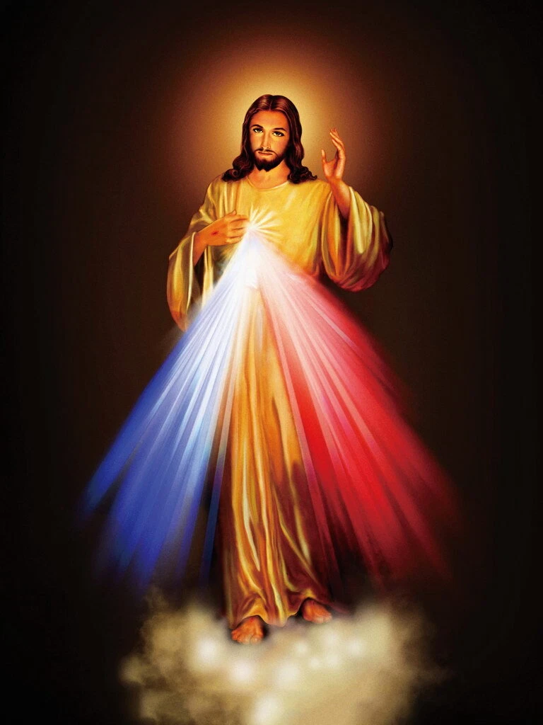 Imagen 1 de 13