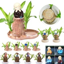 A Set of Green Plant Brazilian Wood Water Raise Lucky Wood Potted Tree Indoor US
