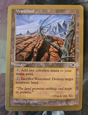 Wasteland - MTG 1999 Mark Le Pine World Championship - Gold Border MINT