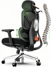 Ergonomic Mesh Office Chair, Desk Chairs with Adjustable Lumbar Support, 4D Flip