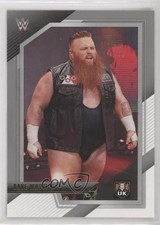 2022 Panini WWE NXT Silver Dave Mastiff #28 09j5