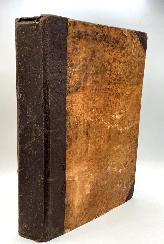 LA BIBBIA volgata A. Martini Ill. 381 incisioni Sonzogno 1890 solo II volume - Immagine 4 di 4