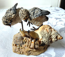 RARE COUNTRY ARTISTS FLEDGLINGS c2005 LAPWINGS WITH CRAB BY  DAVID  IVEY 05097