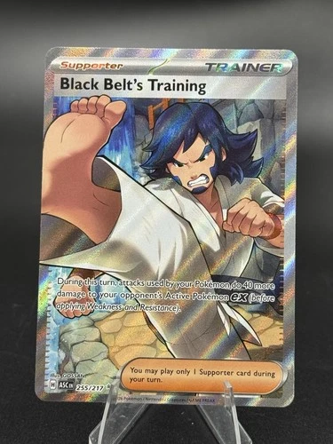 Black Belt's Training - 255/217 - Ascended Heroes - Full Art - Pokemon TCG (A)