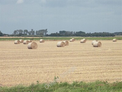 Photo 6x4 Bales in the sun Chittering There has been a distinct shortage  c2009