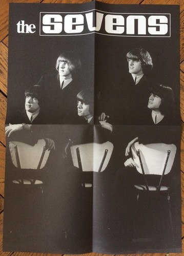 THE SEVENS 180g vinyl LP Swiss beat garage punk mod Kinks Animals Them - Picture 5 of 7