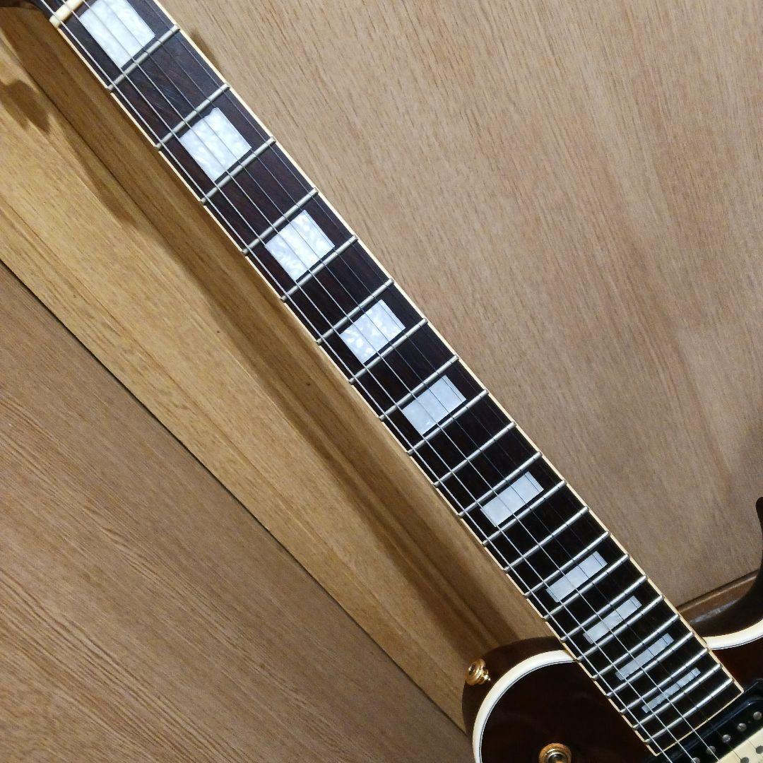 ARIA PRO II VA-45 ブラックパーツ仕様 アーム・ソフトケース付 Aria Pro 2 Soft Case | eBay