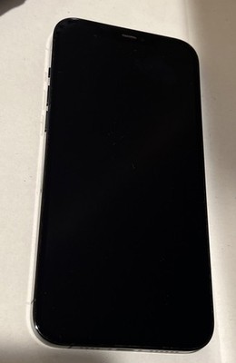 Apple iPhone 12 Pro Max Unlocked 256GB Pacific Blue
