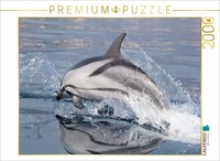 Calvendo Puzzle With Flags Flying | 2000 Pieces, Finished Size 35.4 × 26.4 In (9