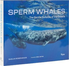 Carl Safina Gaelin Rosenwaks Sperm Whales (Hardback) (UK IMPORT)