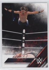 2016 Topps WWE Adam Rose #1 2o7