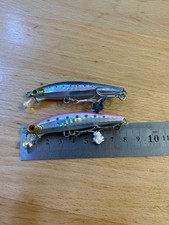 Jackson Pintail Sago Tune 20 Set of 2