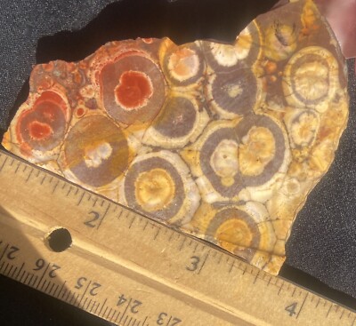 BIRDS EYE JASPER RARE ORBICULAR STRIKING THICK SLAB 40 GRAMS MEXICO