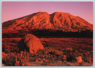 Mount St. Helens Cougar WA Morning View from Lahar Viewpoint 1991 Postcard  B18