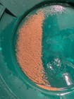 0.100 Gram Calif. High Purity Raw Placer Gold From The Beautiful Yuba River.  — photo 4