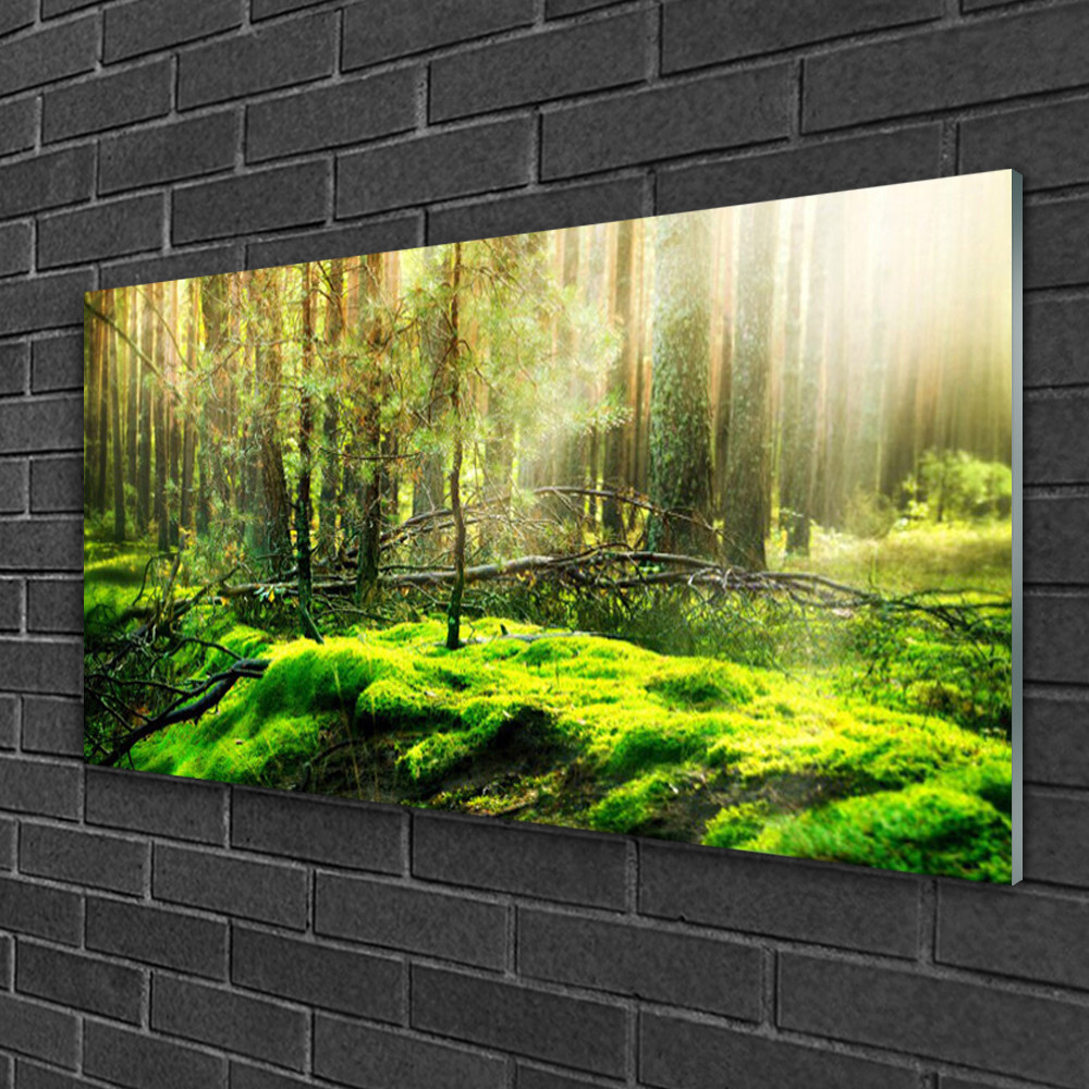 Tableau sur verre 100x50 Nature Bryophyte pour décoration murale de salon