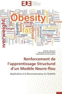 Renforcement De L Apprentissage Structurel D Un Mod?Le Neuro-Flou