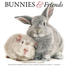 Carousel Calendars,  Bunnies and Friends 2026 Wall Calendar, 12'' X 12'', 16-Mon