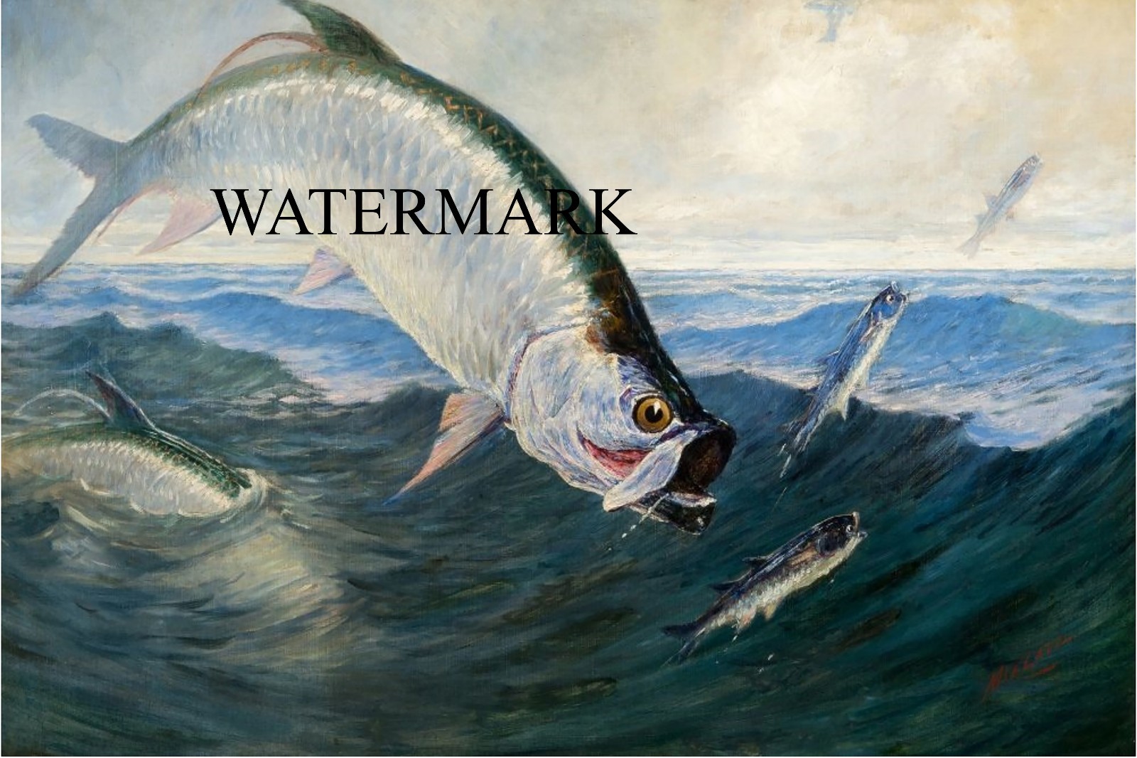 Charles Frederick Mielatz  1900 Leaping Tarpon - 17x26 Oil Painting REPRODUCTION
