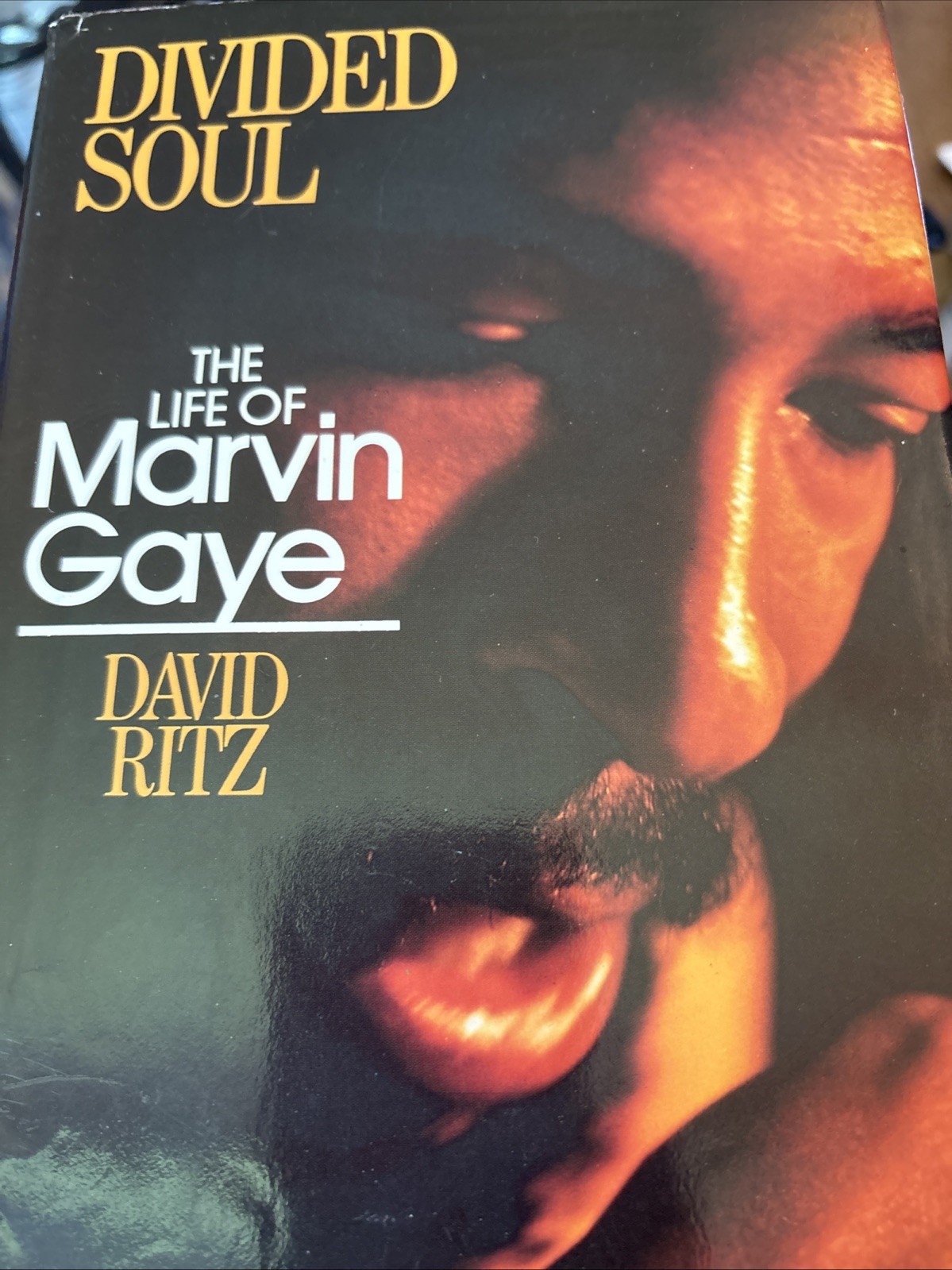 Divided Soul : The Life of Marvin Gaye by David Ritz (1985, Hardcover) MOTOWN