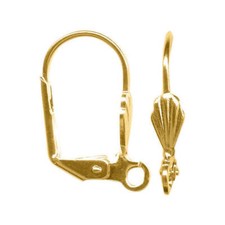 19mm x 12mm gold plated brass, shell front, leverback earwires, 10 pcs. 5 pair