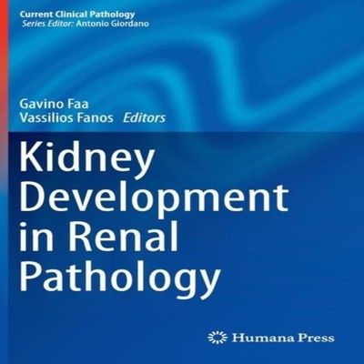 Kidney Development in Renal Pathology Springer Nature B.V. Hardco