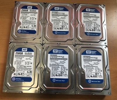 Festplatte WESTERN DIGITAL BLUE 250GB WD2500AAKX 16MB 7200U/min SATA III 3.5''