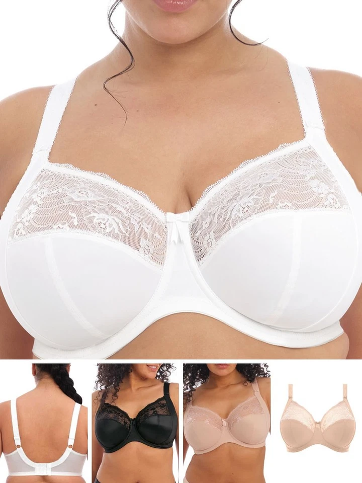 Elomi Morgan BH Vollschale Dreiteil Cup gebändert Seitenstütz BHs Dessous - Bild 1 von 1