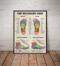 Foot Reflexology Chart Retro Knowledge Poster, Massage foot Poster no framed