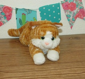 aurora stuffed cat