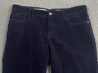 Anthropologie Pilcro Corduroy Mid-Rise Straight Jeans Navy Size 29 Excellent — photo 3
