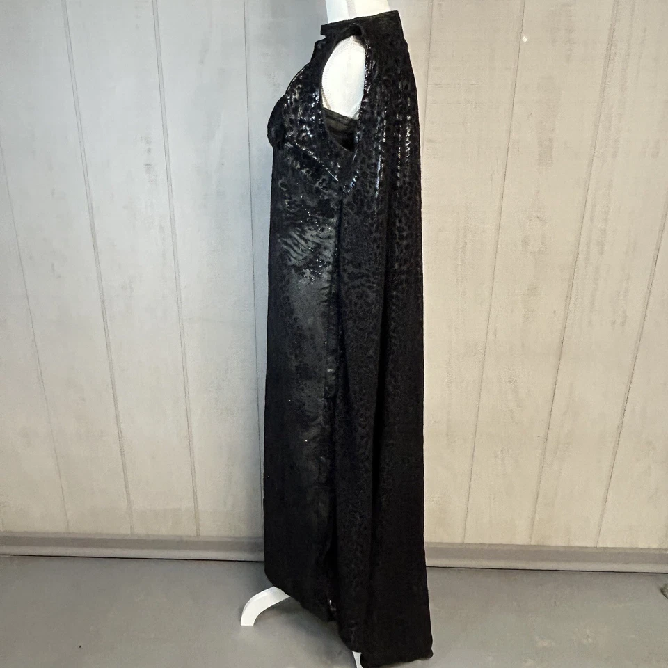 Womens Long Black Dress and Cape Sz M Sleeveless Sparkly Velvet Sheer Costume - Image 2 of 4