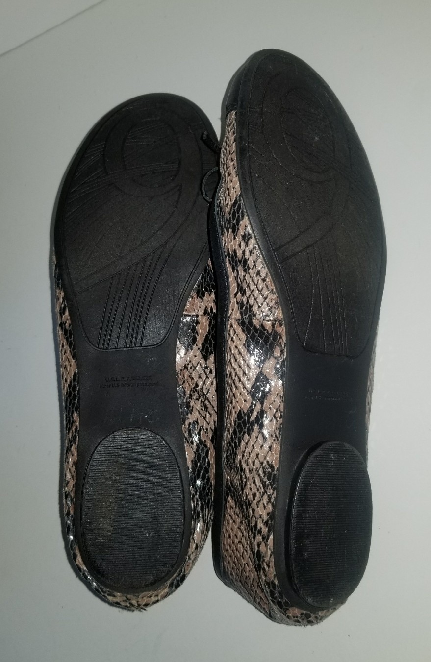 Picture 5 of 5