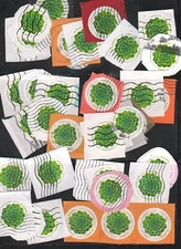 Global Forever 2017 Green Succulent Scott 5198 Used on Paper 40 stamps